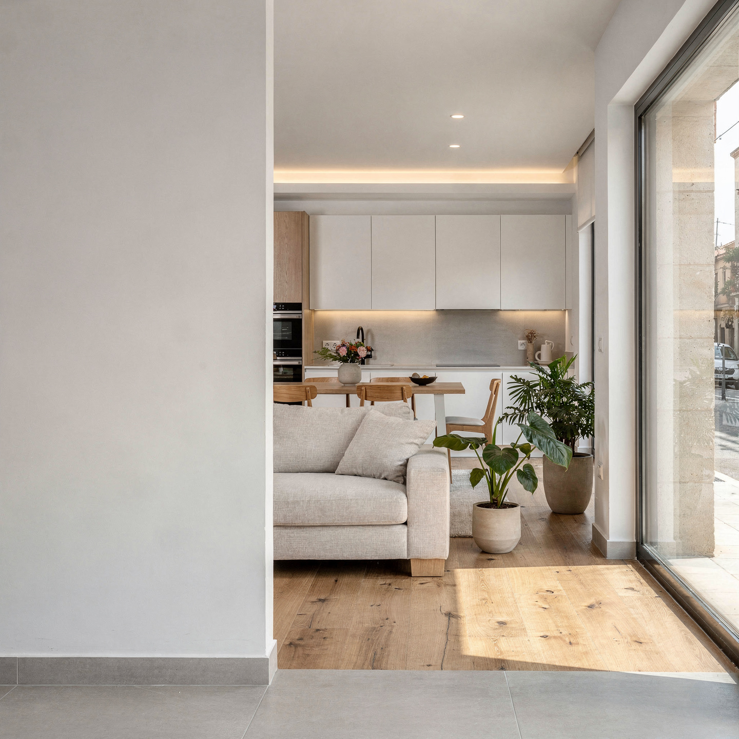Cambio de uso Local a Vivienda Alicante